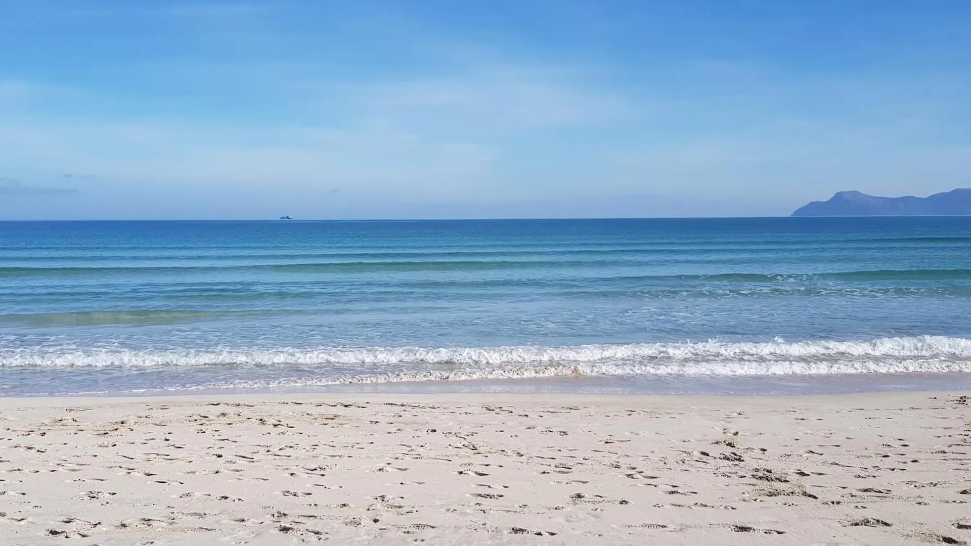 Ideal Property Mallorca - Can Olivo بورت ذالكوذيا